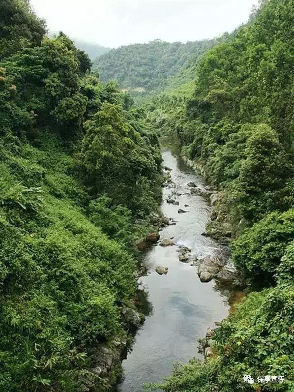 耗油作为营养价值高且又味道鲜美的调味品,怎么用才好呢?可以直接吃吗?——专属于你的红迪网社区
